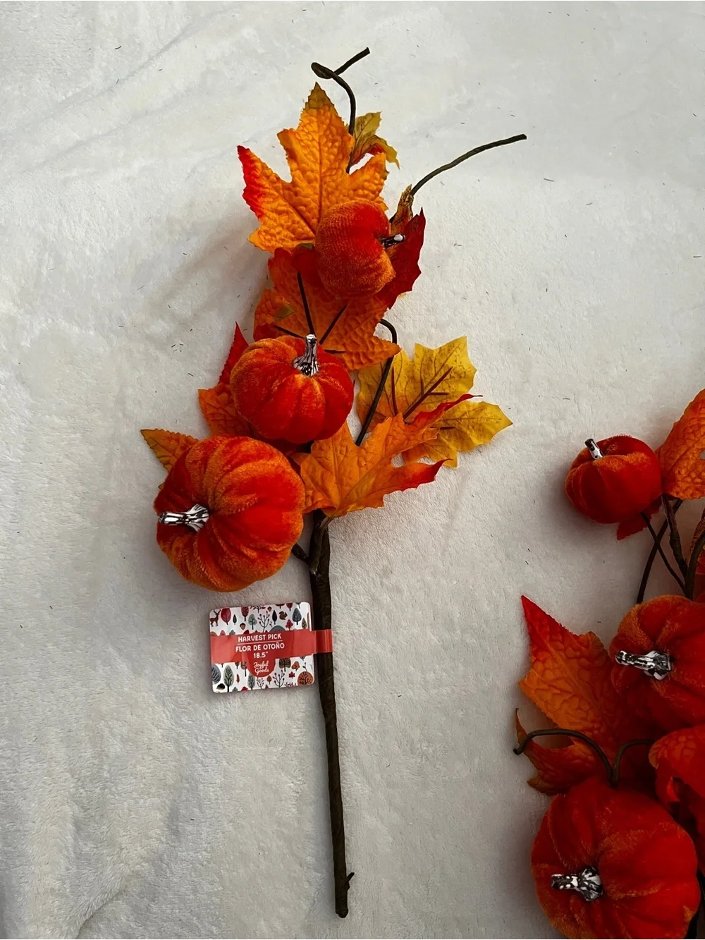 Joyful Goods new harvest